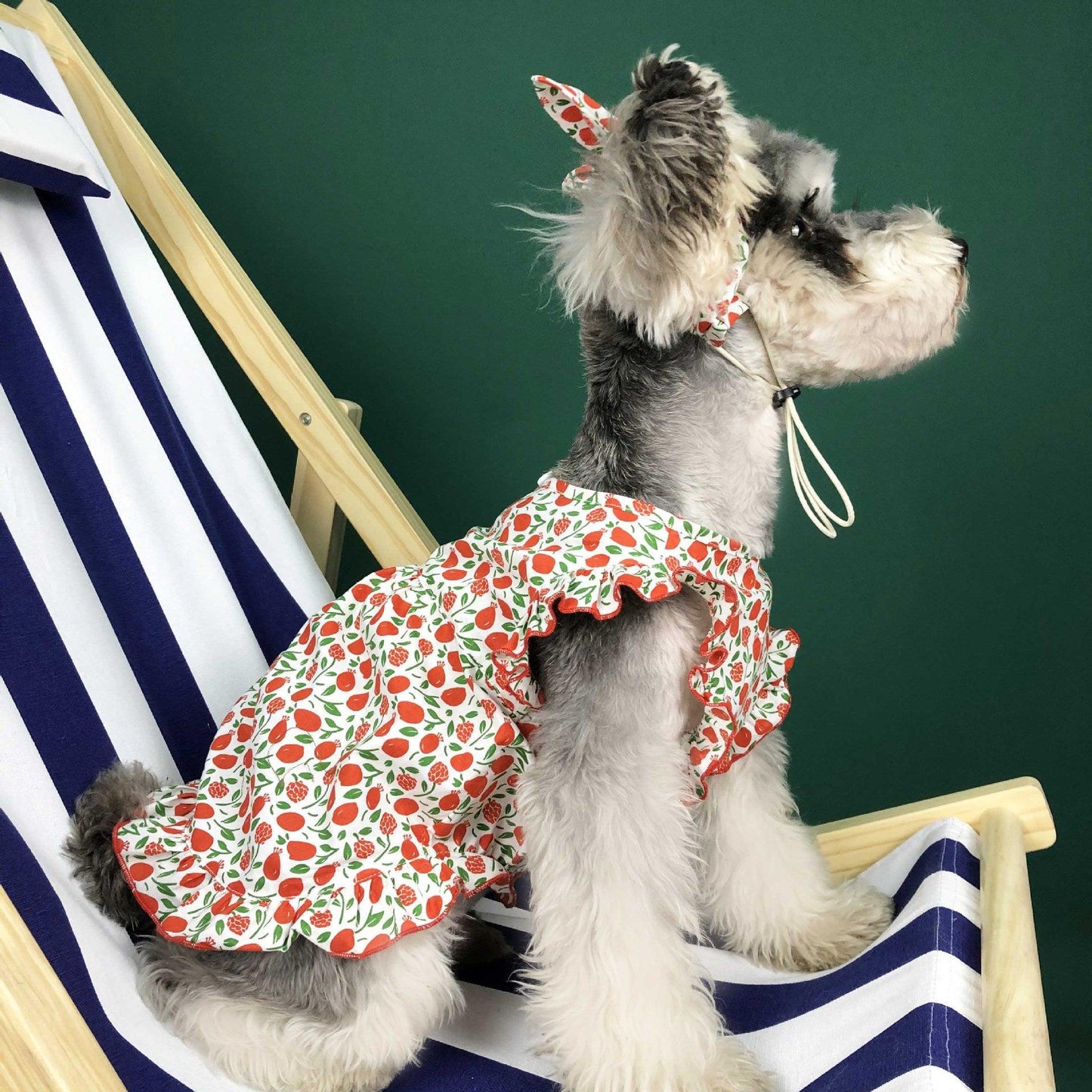Summer Breeze Dog Dress: Stylish And Lightweight Pet Clothes For Small Dogs-2