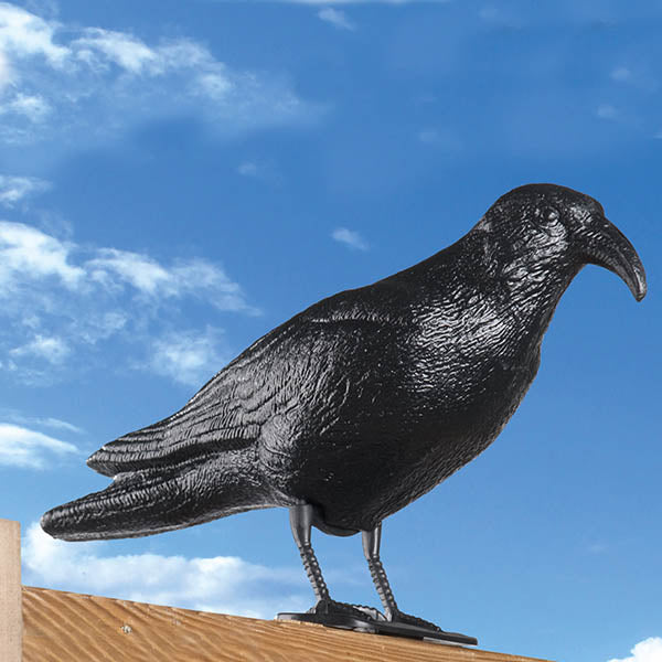 Sperietoare pasari pentru balcon, acoperis-4