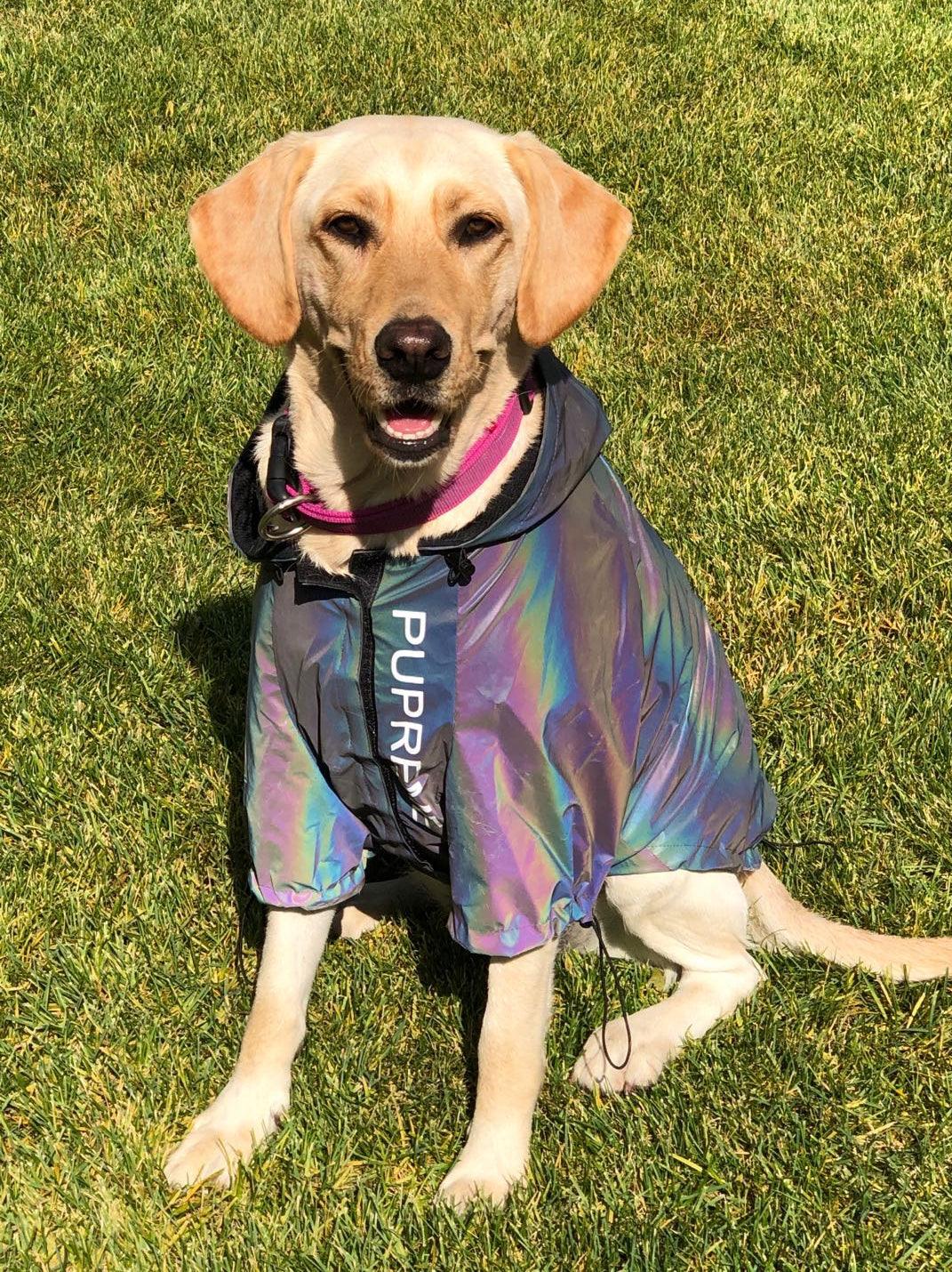 Reflectopup - Ultra-Reflective Microcrystalline Dog Clothes-2