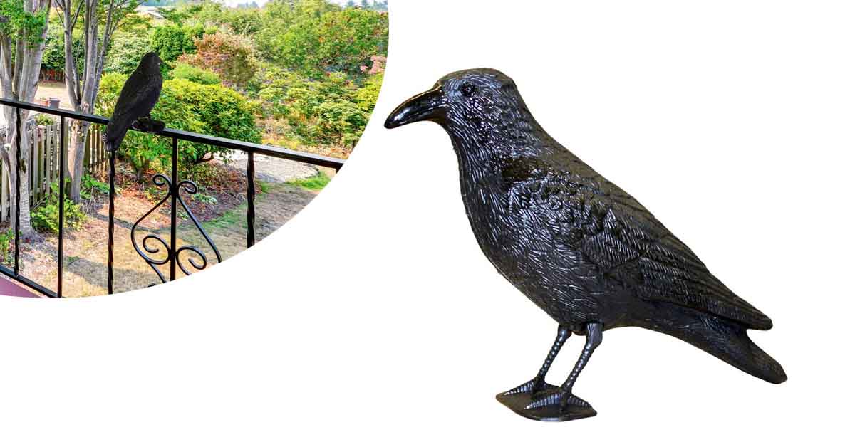 Sperietoare pasari pentru balcon, acoperis-1